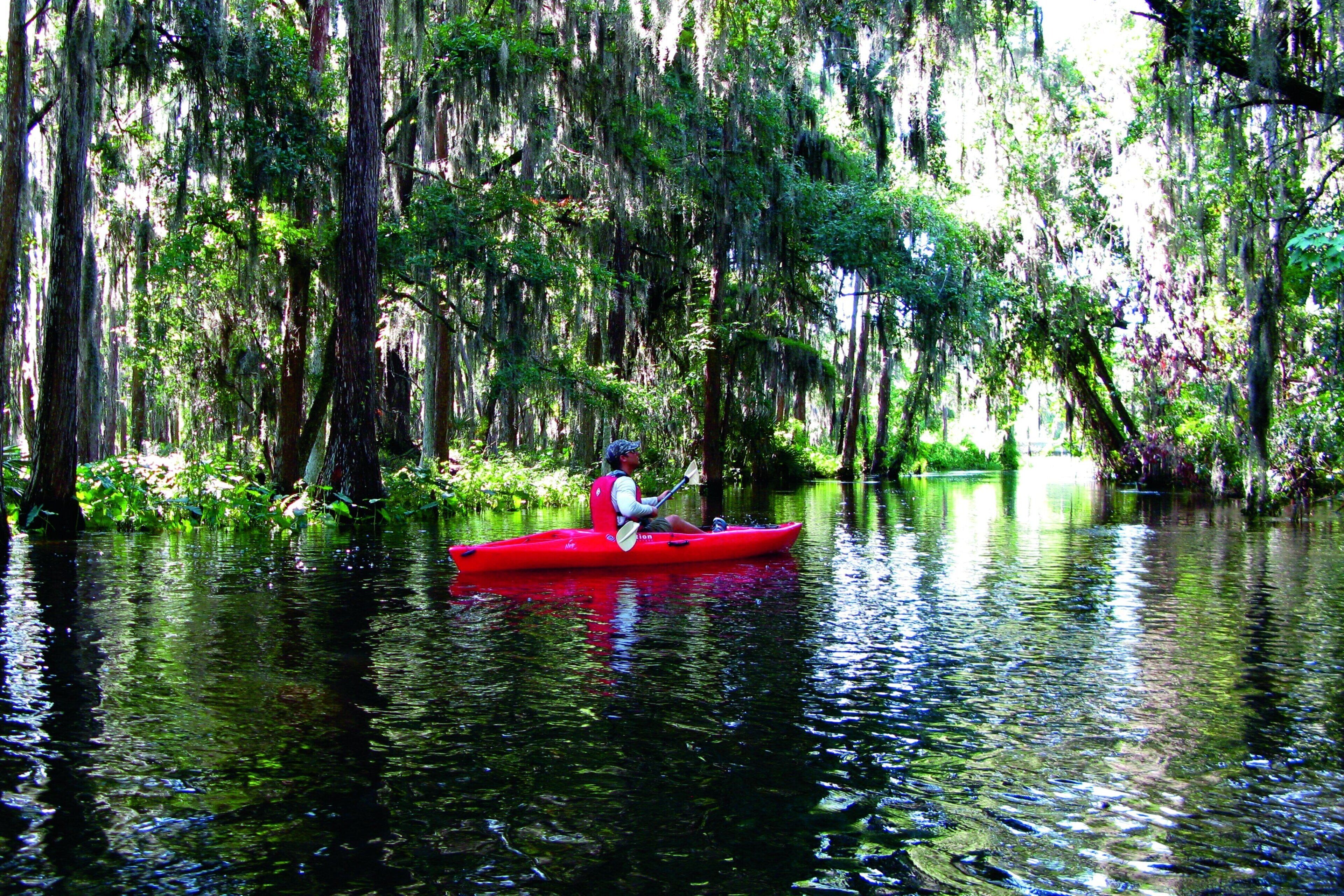 Une personne dans un kayak rouge, sur une rivière paisible, entourée d’une végétation luxuriante et d’arbres imposants.