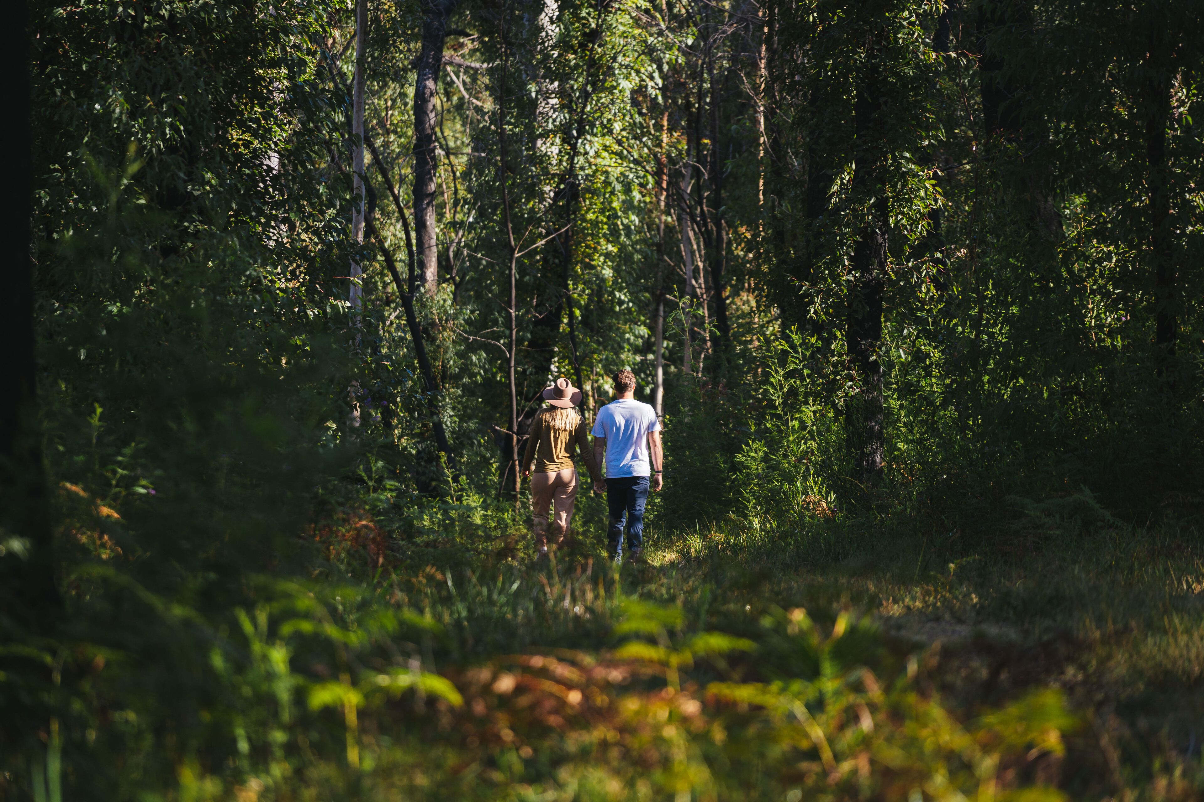 Una pareja caminando por un bosque.
