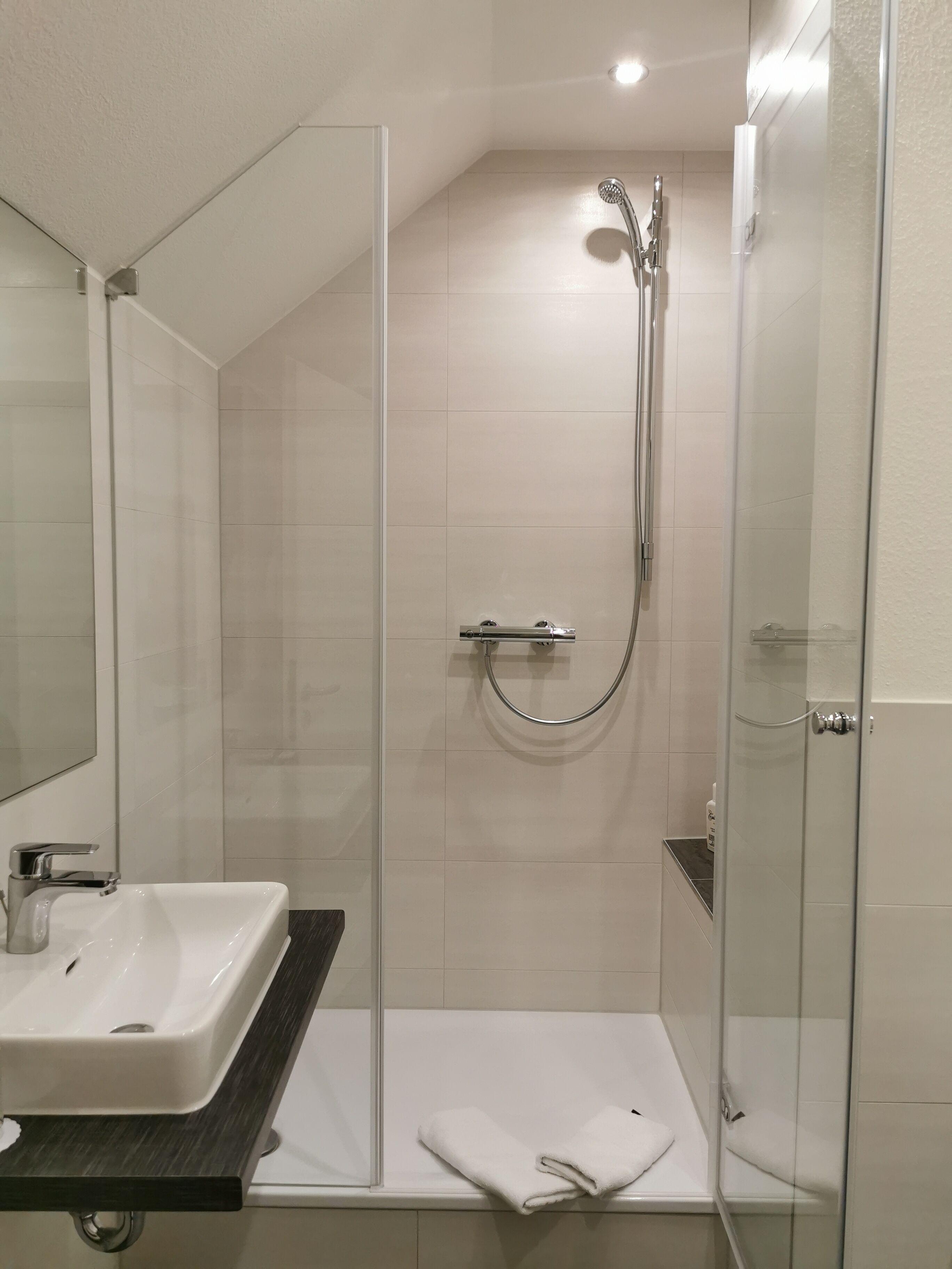 A modern bathroom with a glass-enclosed shower, a white sink, and a mirror.