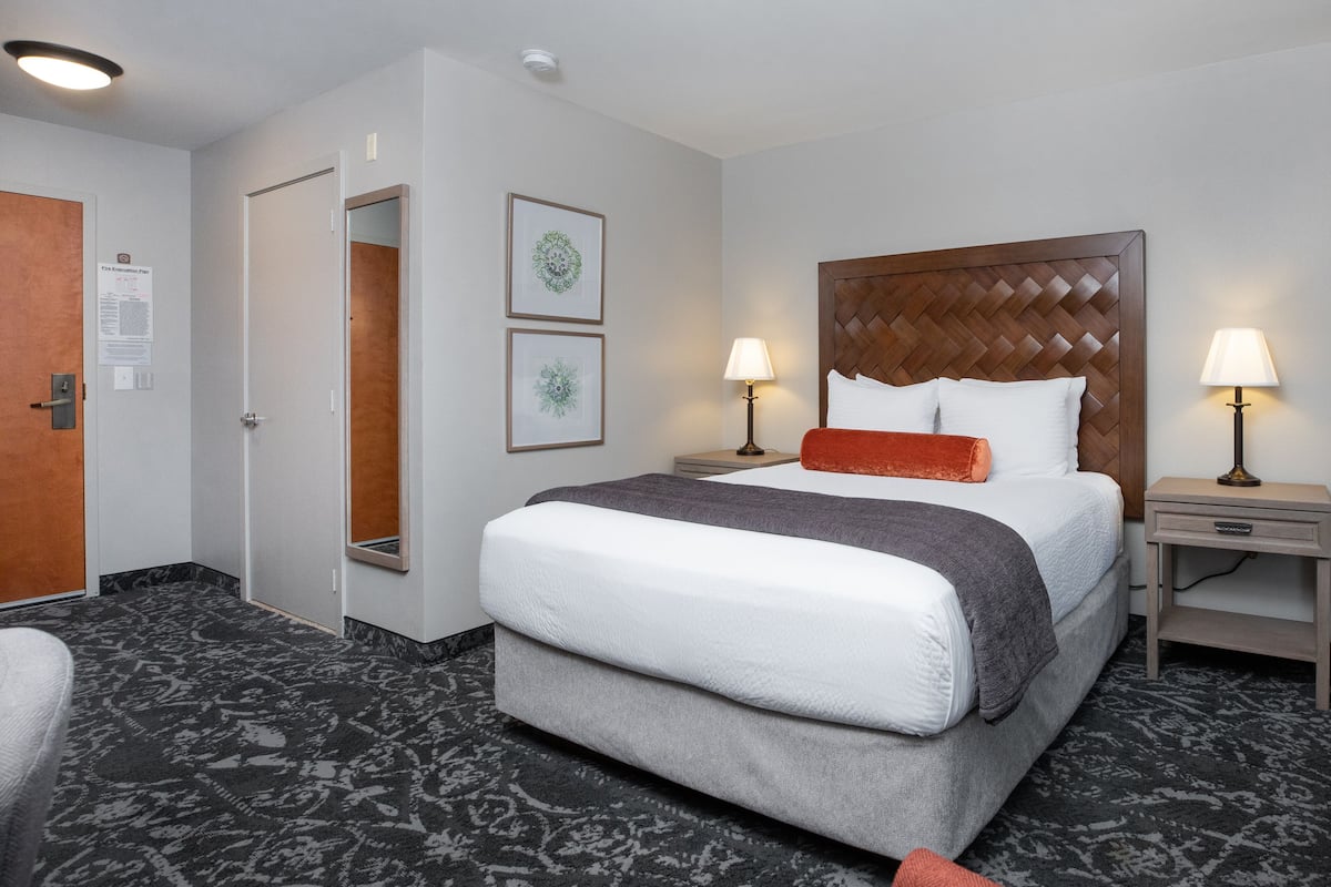 A hotel room with a large bed, two bedside tables with lamps, a door, and a carpeted floor.