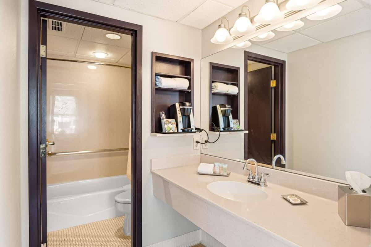 suite (zephyr) | bathroom | combined shower/bathtub, free toiletries, hair dryer, towels