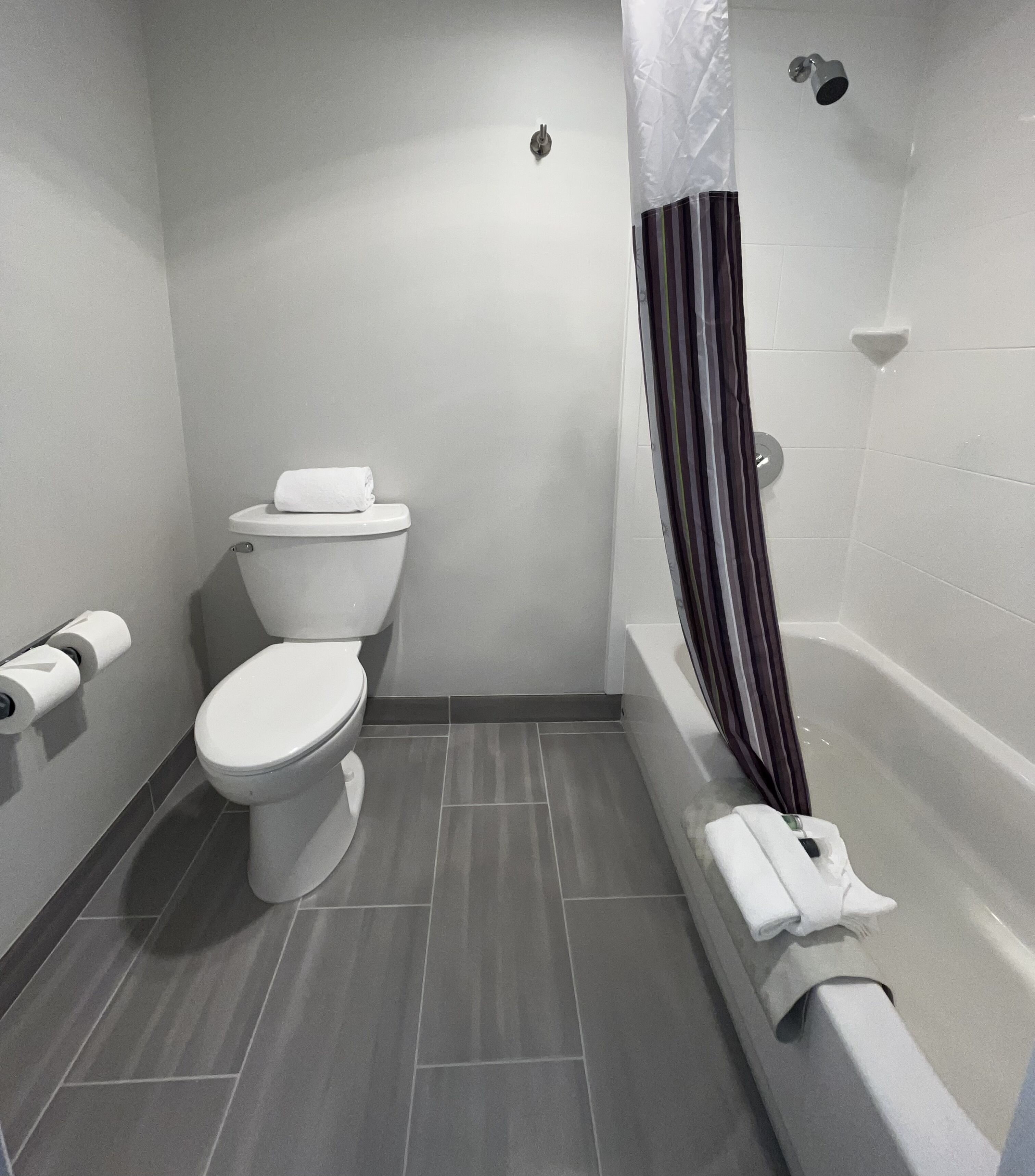 A bathroom with a toilet, a bathtub, and a shower curtain.