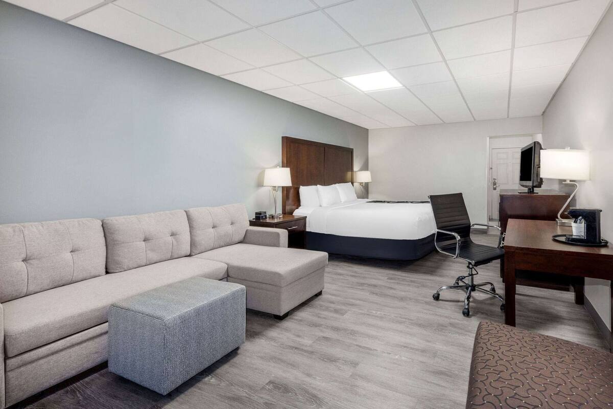 A hotel room with a bed, a sofa, a desk, and a chair.