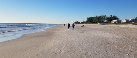 在海灘附近、白沙、躺椅、沙灘巾