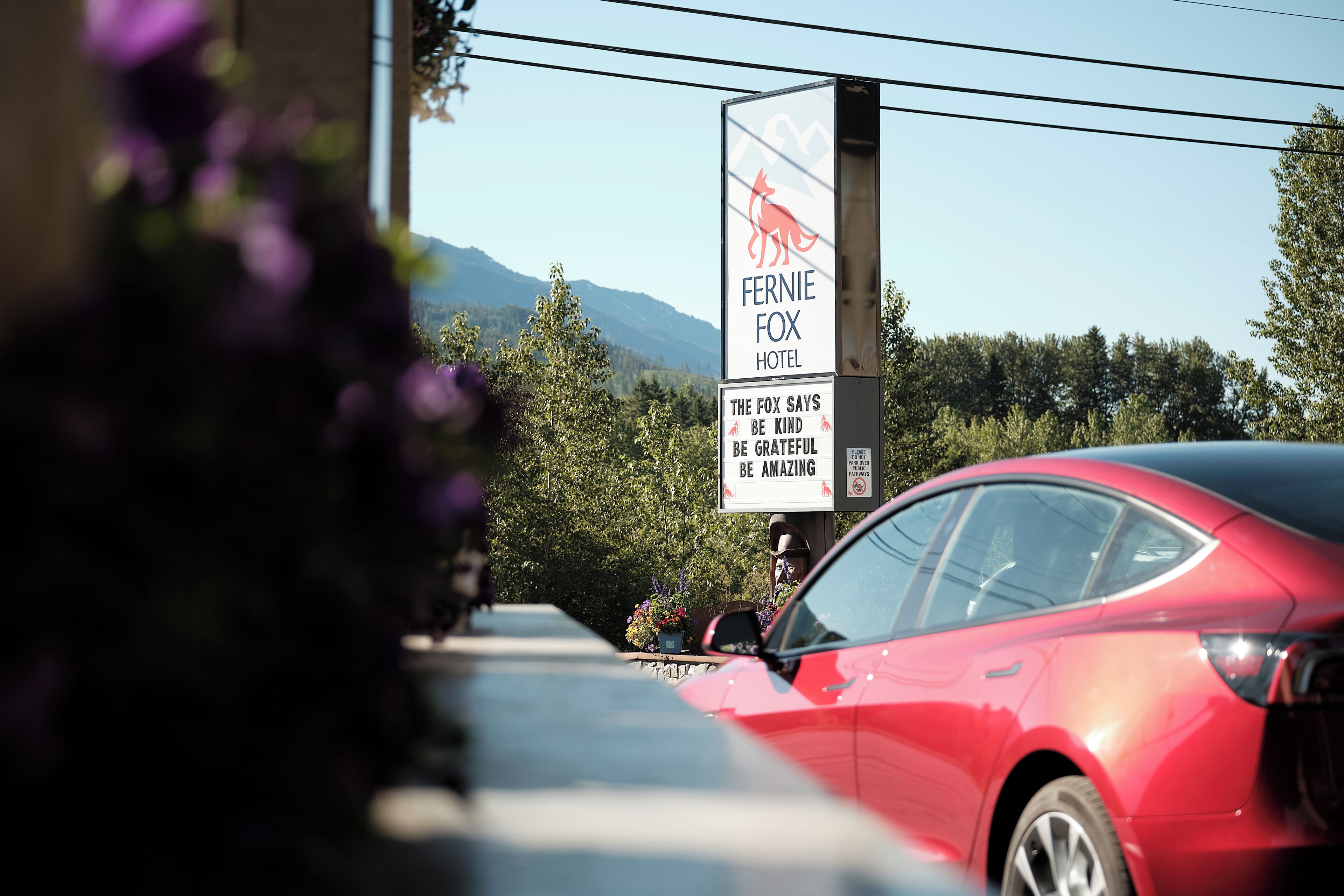 A hotel sign with a kangaroo logo, a slogan, and a red car parked in front.