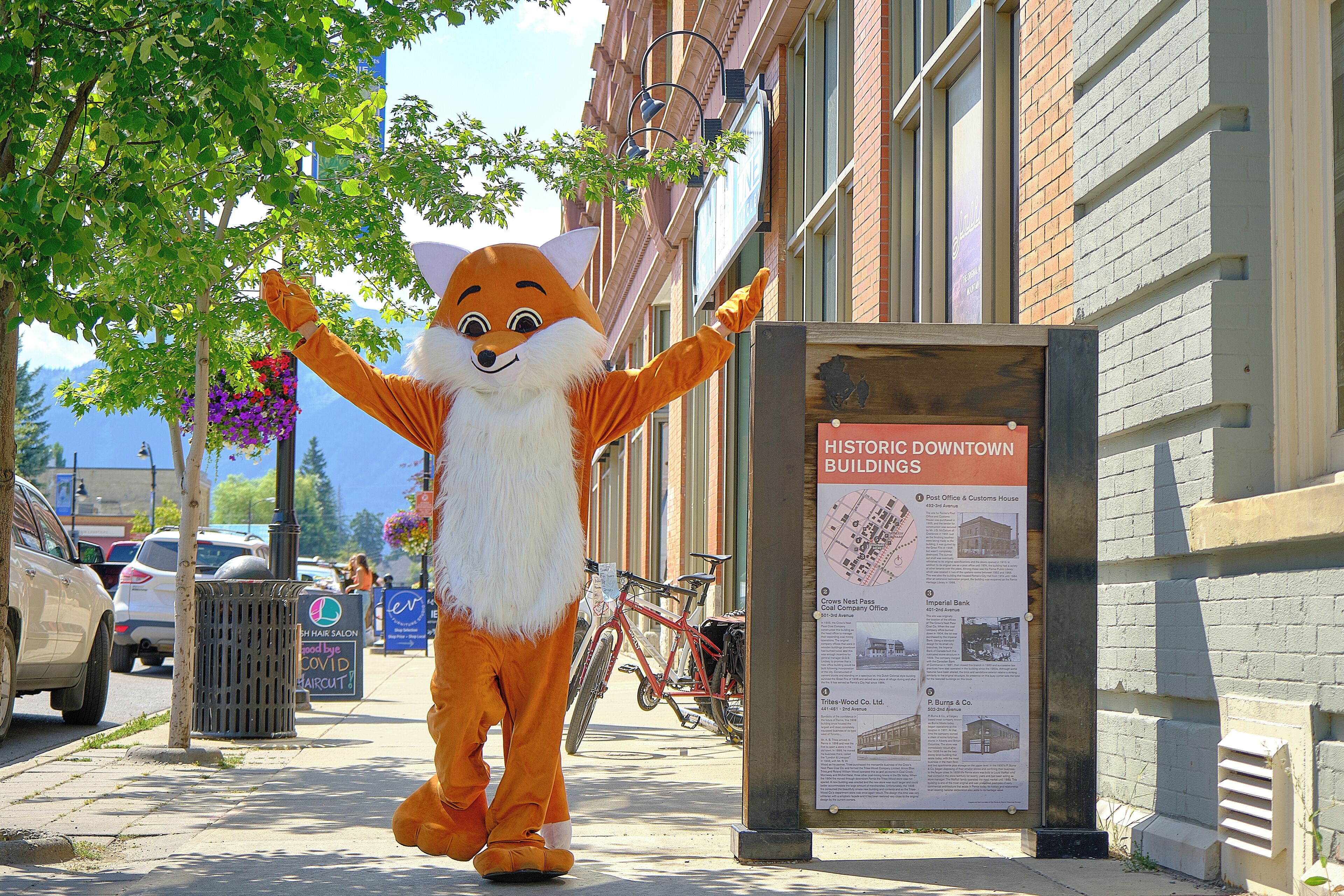 shopping centre shuttle