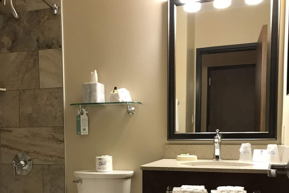 Une salle de bain équipée de toilettes, d’un lavabo, d’un miroir et d’une douche.