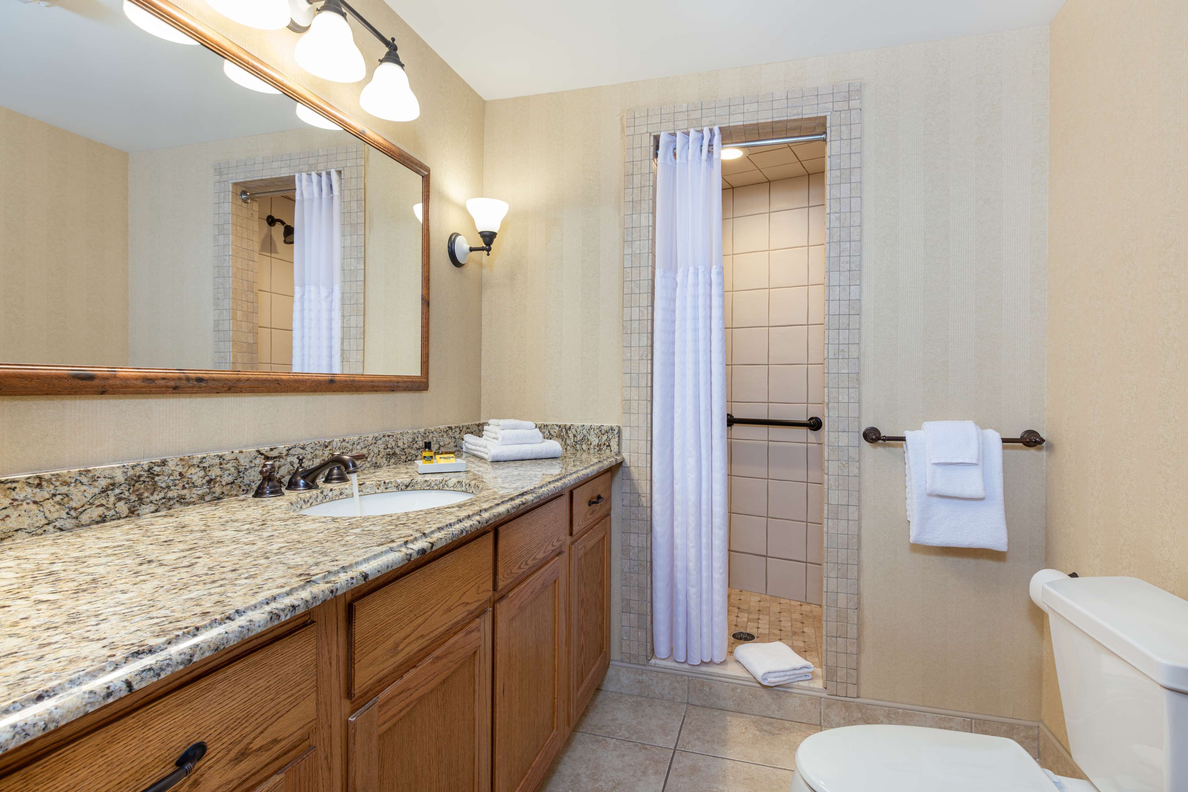 Une salle de bain avec un lavabo sur un plan de travail en granit, des meubles en bois, des toilettes, une douche avec un rideau et un porte-serviettes.