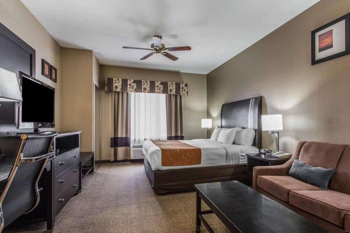 A hotel room with a bed, desk, TV, ceiling fan, and a couch.