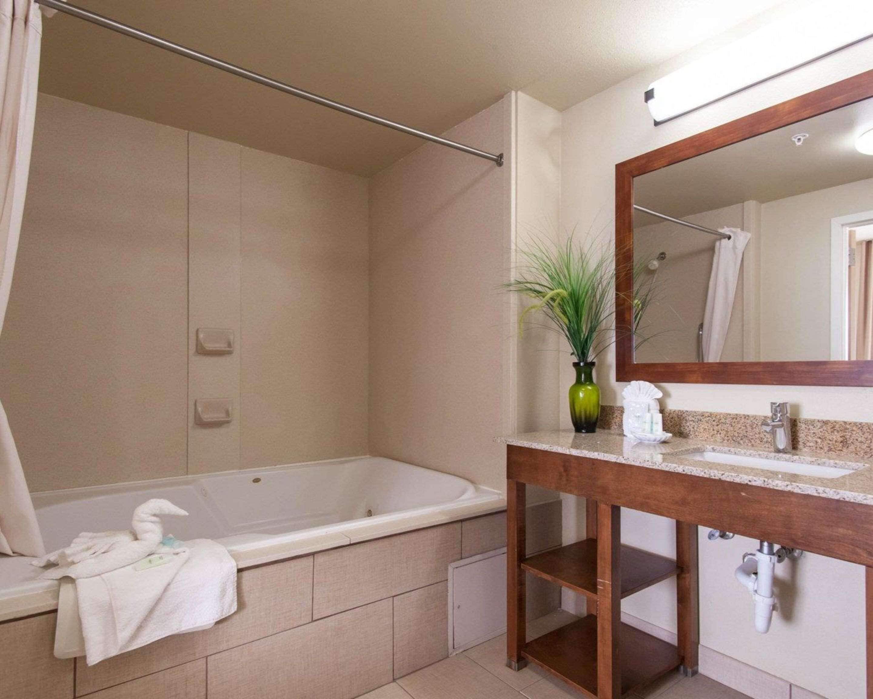 suite, 1 king bed with sofa bed, non smoking | bathroom | combined shower/bathtub, free toiletries, hair dryer, towels