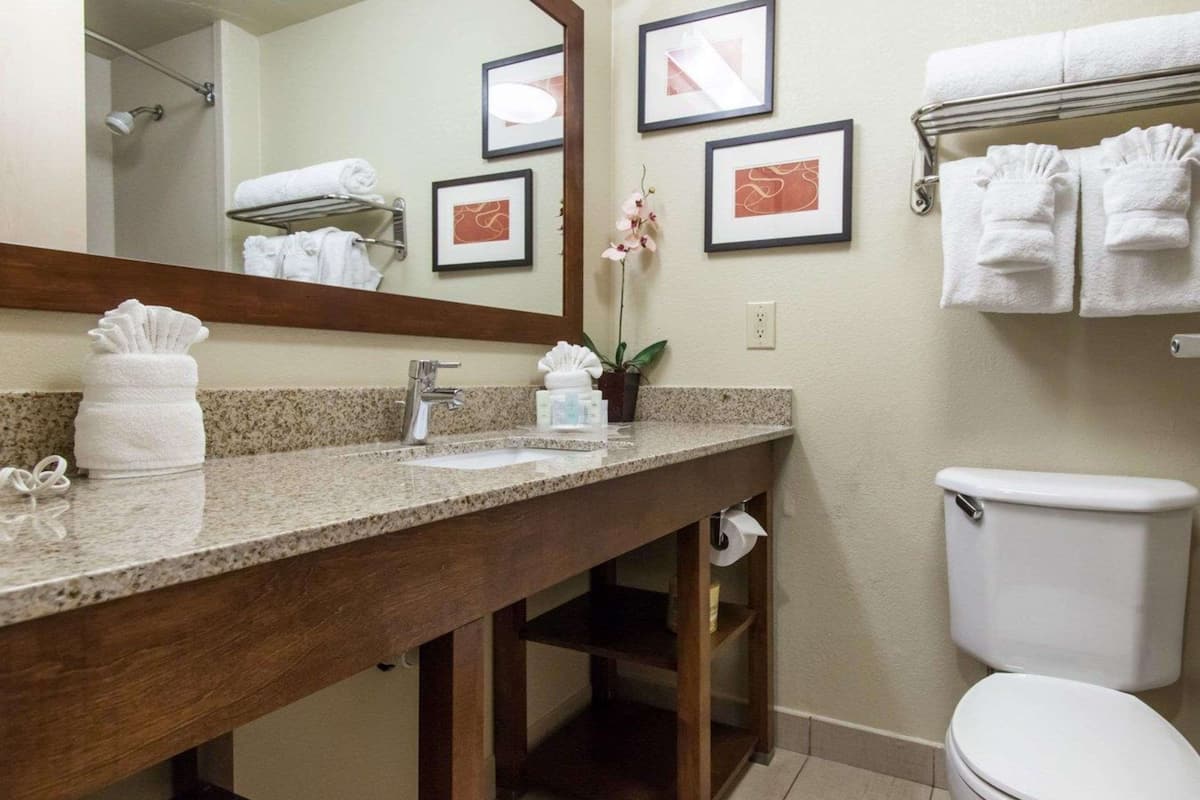 suite, non smoking | bathroom | combined shower/bathtub, free toiletries, hair dryer, towels