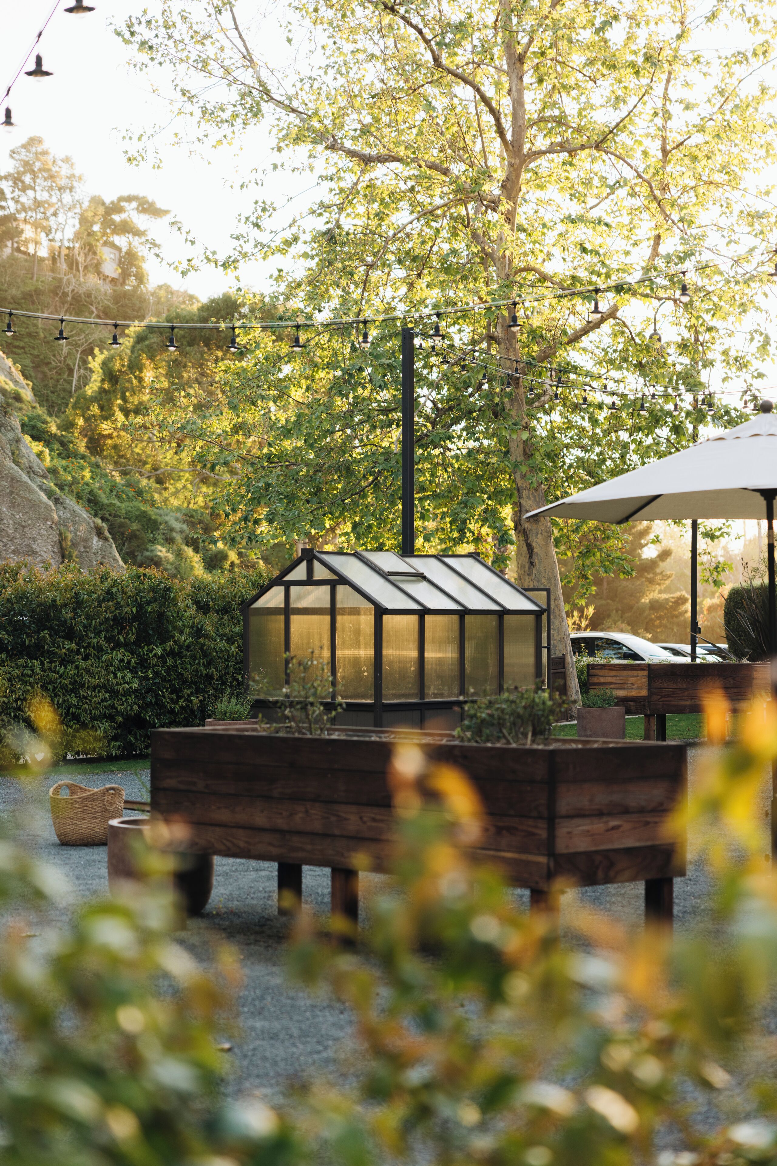 A greenhouse structure, a wooden bench, and a basket on the ground.