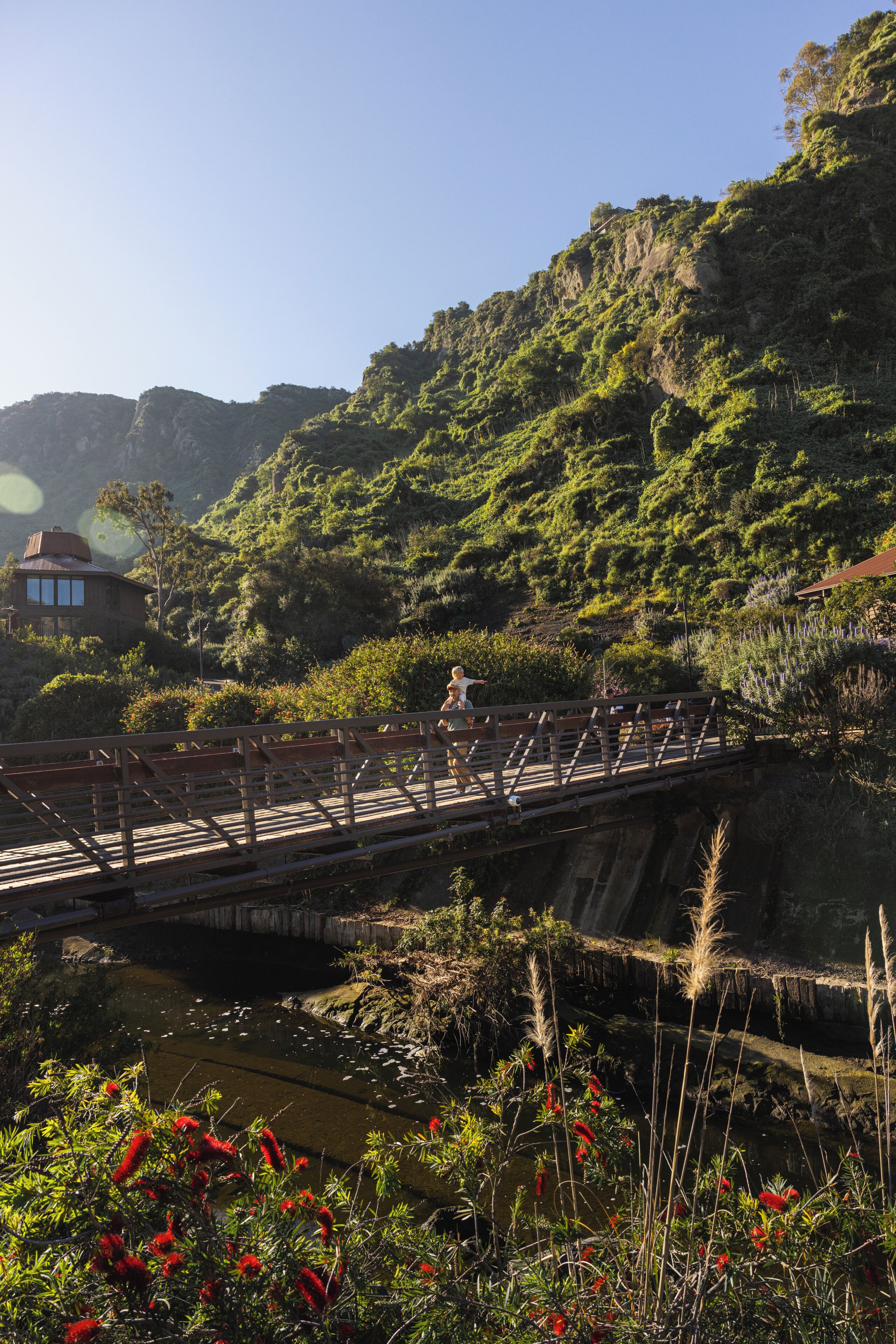 A wooden bridge over a water body with lush greenery and a building in the background.