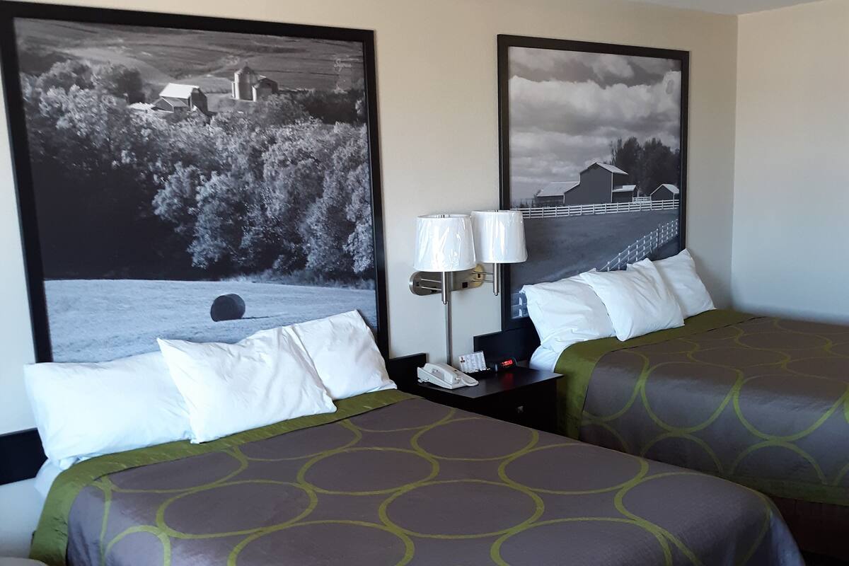 Une chambre d ’hôtel avec deux lits, une table de chevet avec une lampe et deux grandes images encadrées au mur.