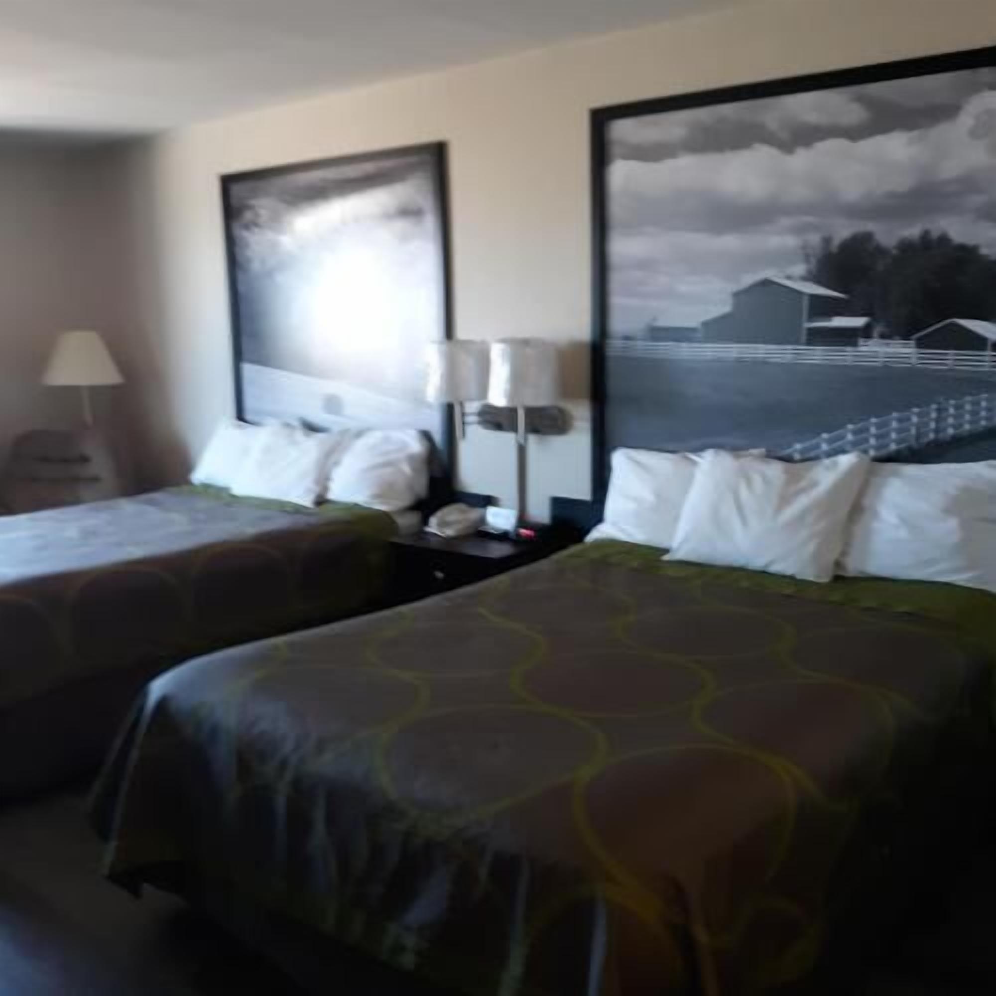 Escritorio, cortinas blackout y tabla de planchar con plancha 