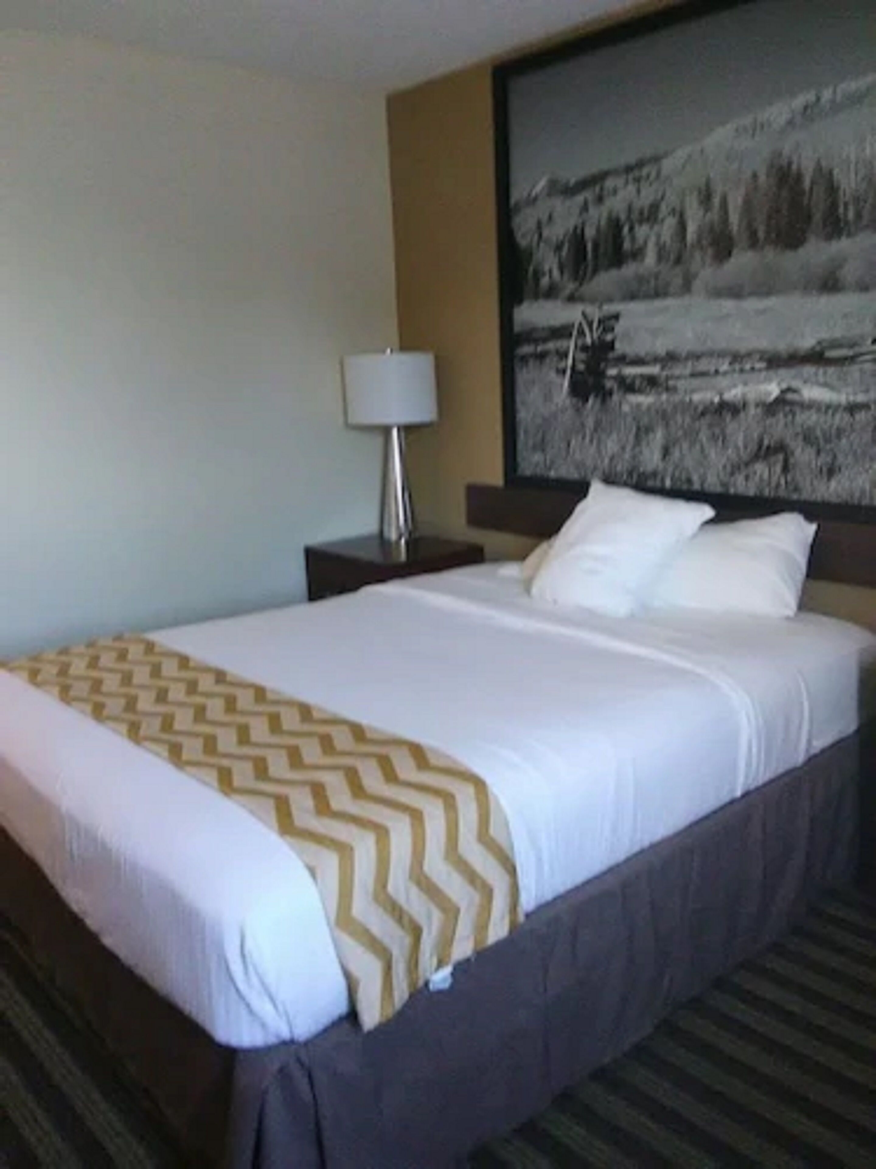 A hotel room with a large bed, a nightstand with a lamp, and a wall-mounted painting.