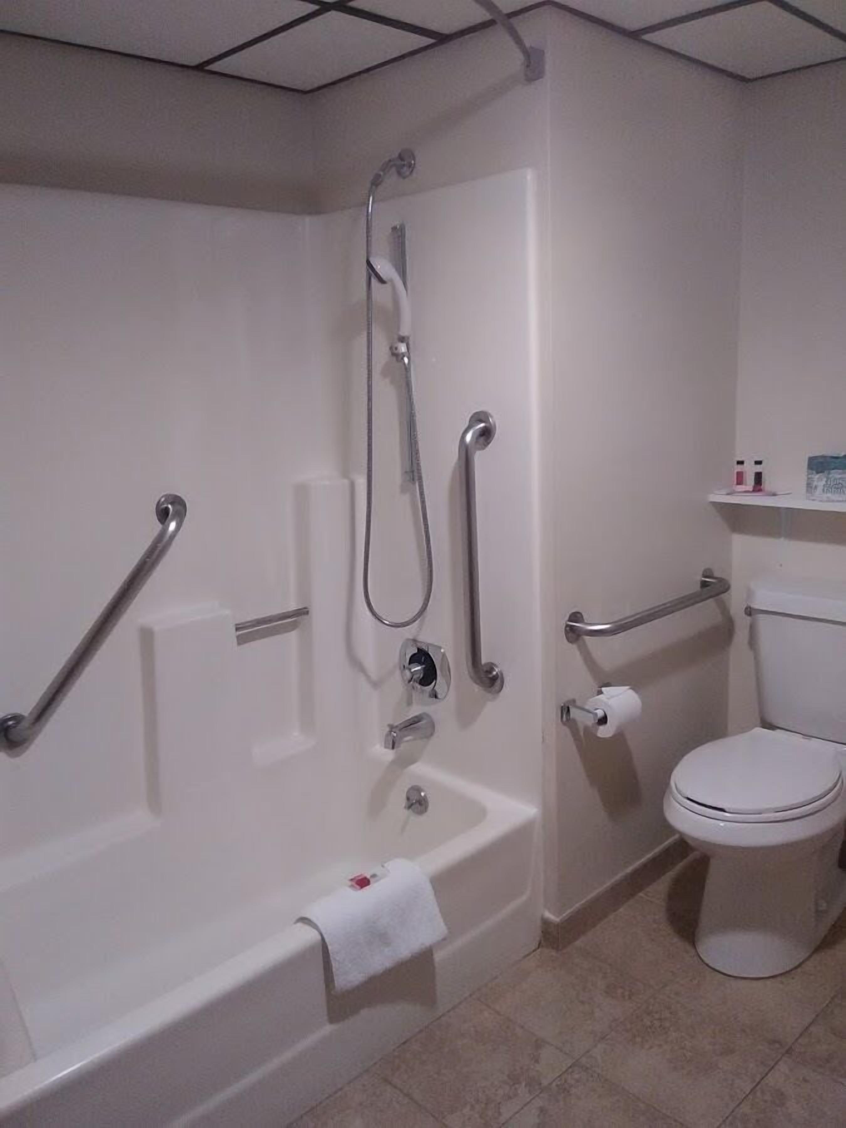 A bathroom with a bathtub, a shower, a toilet, and a handrail.