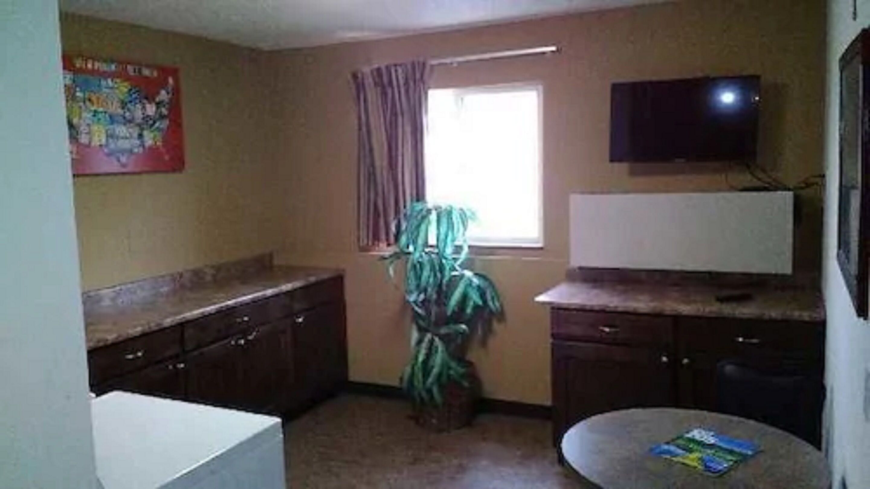A small, compact room with a kitchenette, a television, a window with curtains, and a plant.