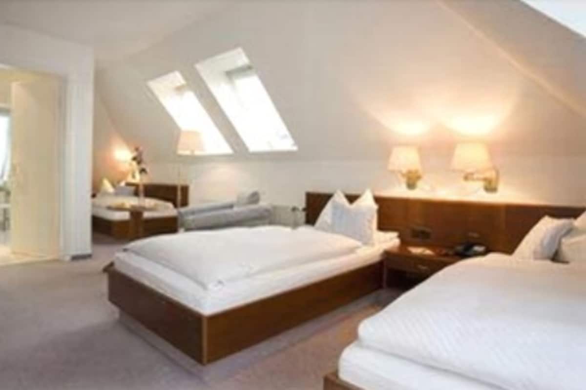 A bedroom with two beds, a skylight, and a nightstand with lamps.