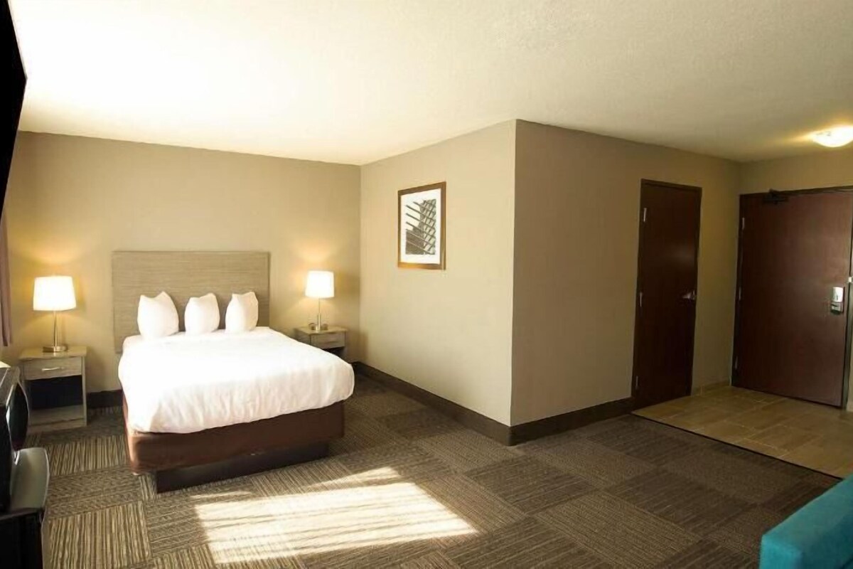 Habitación de hotel con cama, lámparas de noche, escritorio, silla, puerta y un cuadro en la pared.
