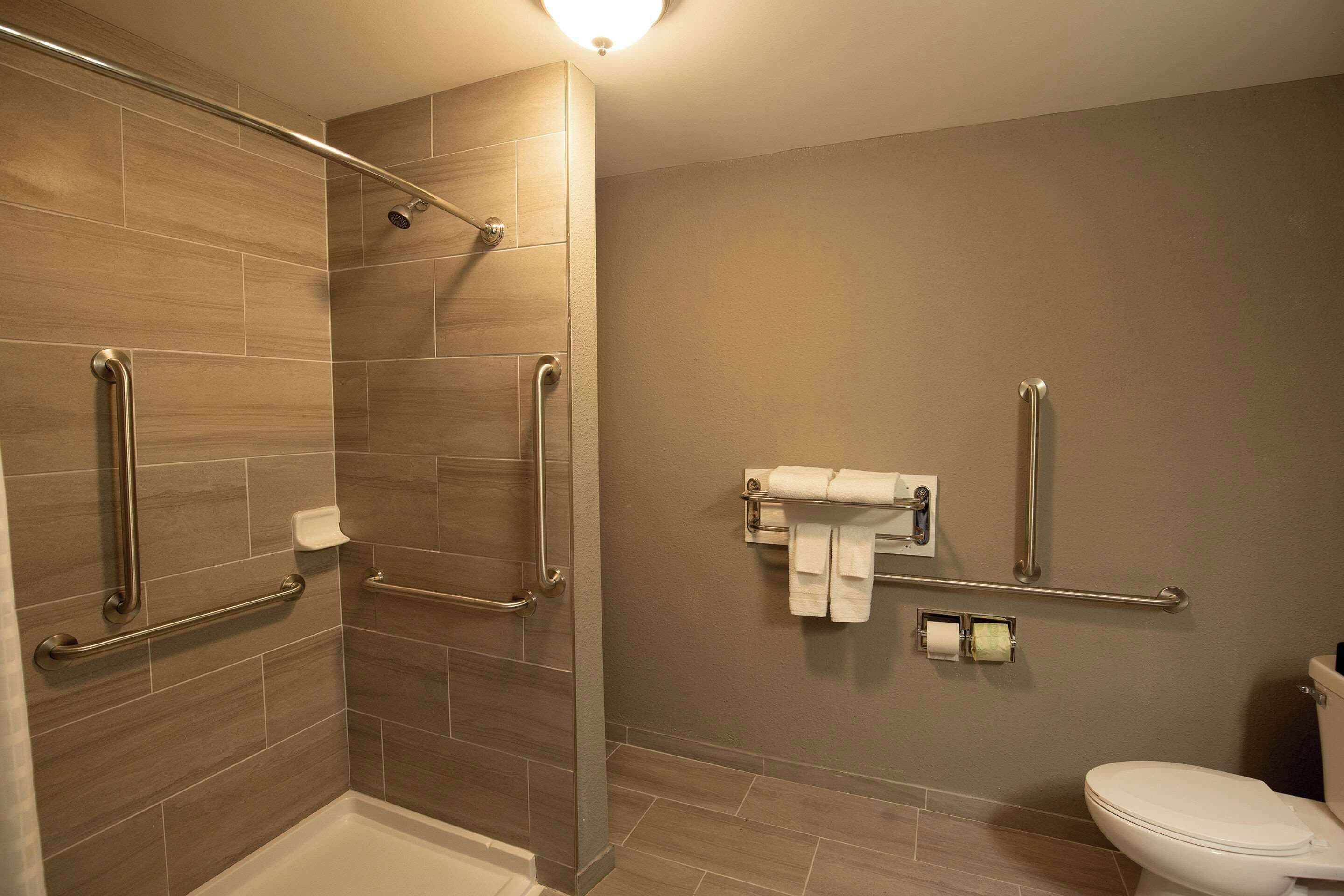 A bathroom with a shower, toilet, and grab bars.