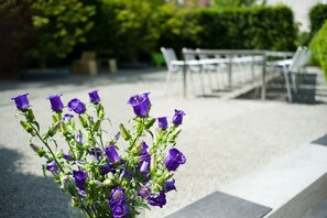 Terraço/pátio