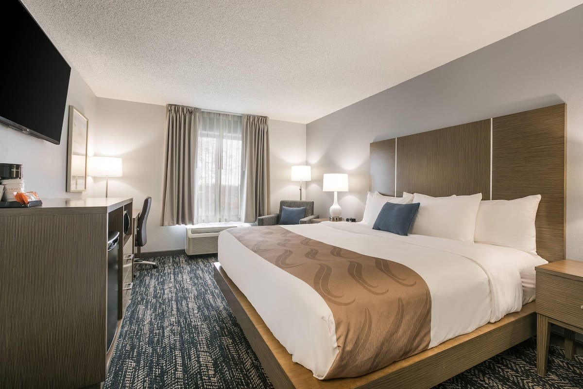 Standard Room, 1 King Bed, Non Smoking | Desk, free cribs/infant beds, rollaway beds, free WiFi