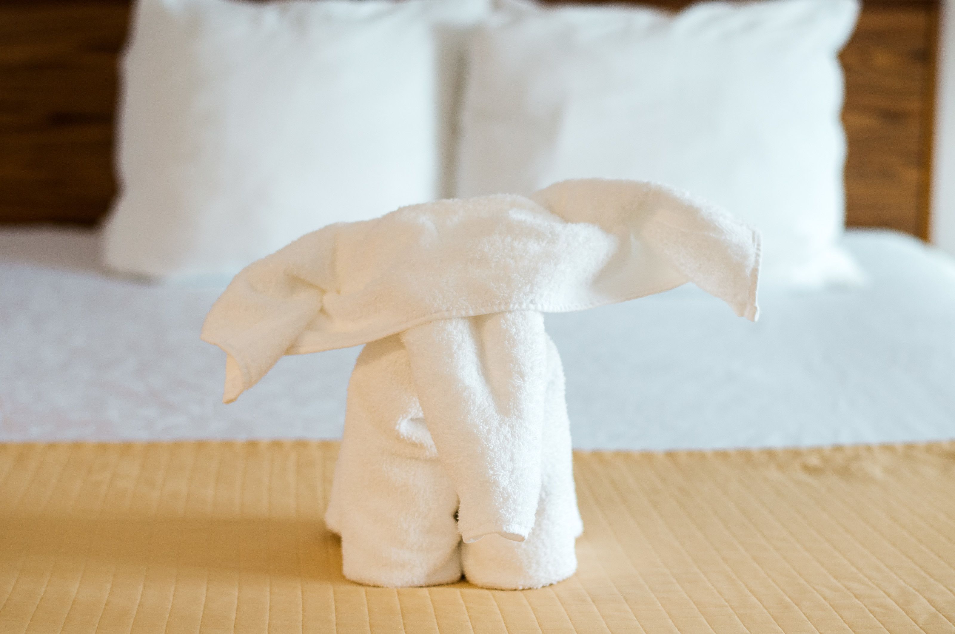 combined shower/bathtub, deep-soaking bathtub, free toiletries