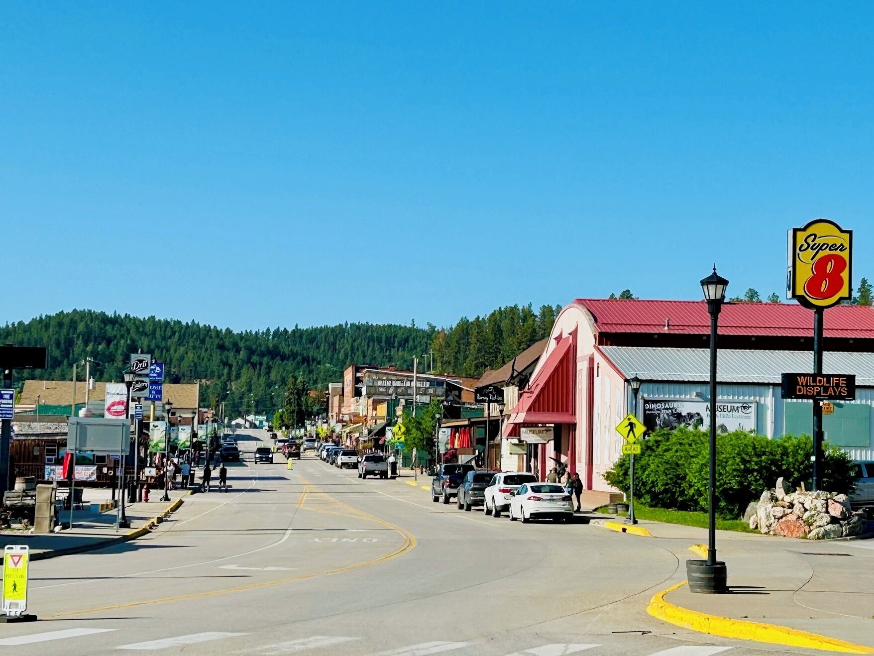 A street view with a red building labeled "Super 8" and a sign for "Wildlife Displays."