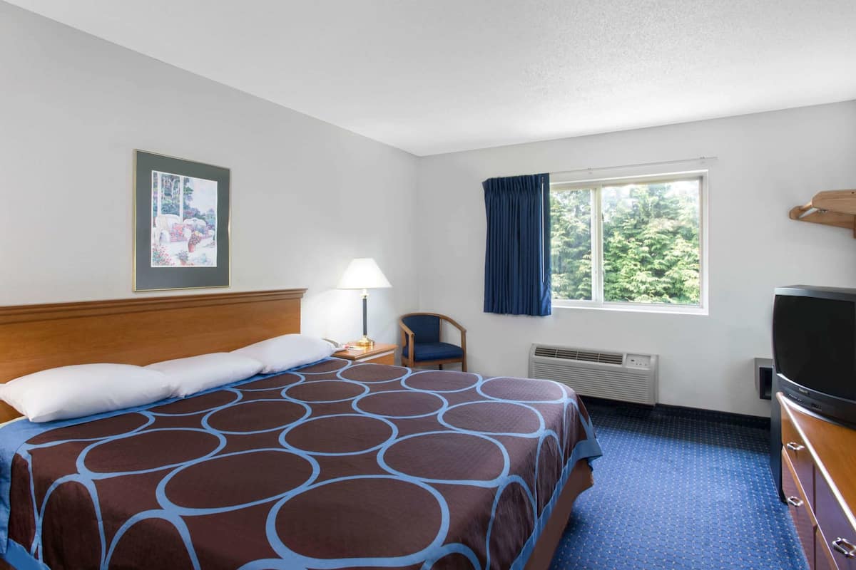 A hotel room with a large bed, a chair, a TV, a window with curtains, and a framed picture on the wall.