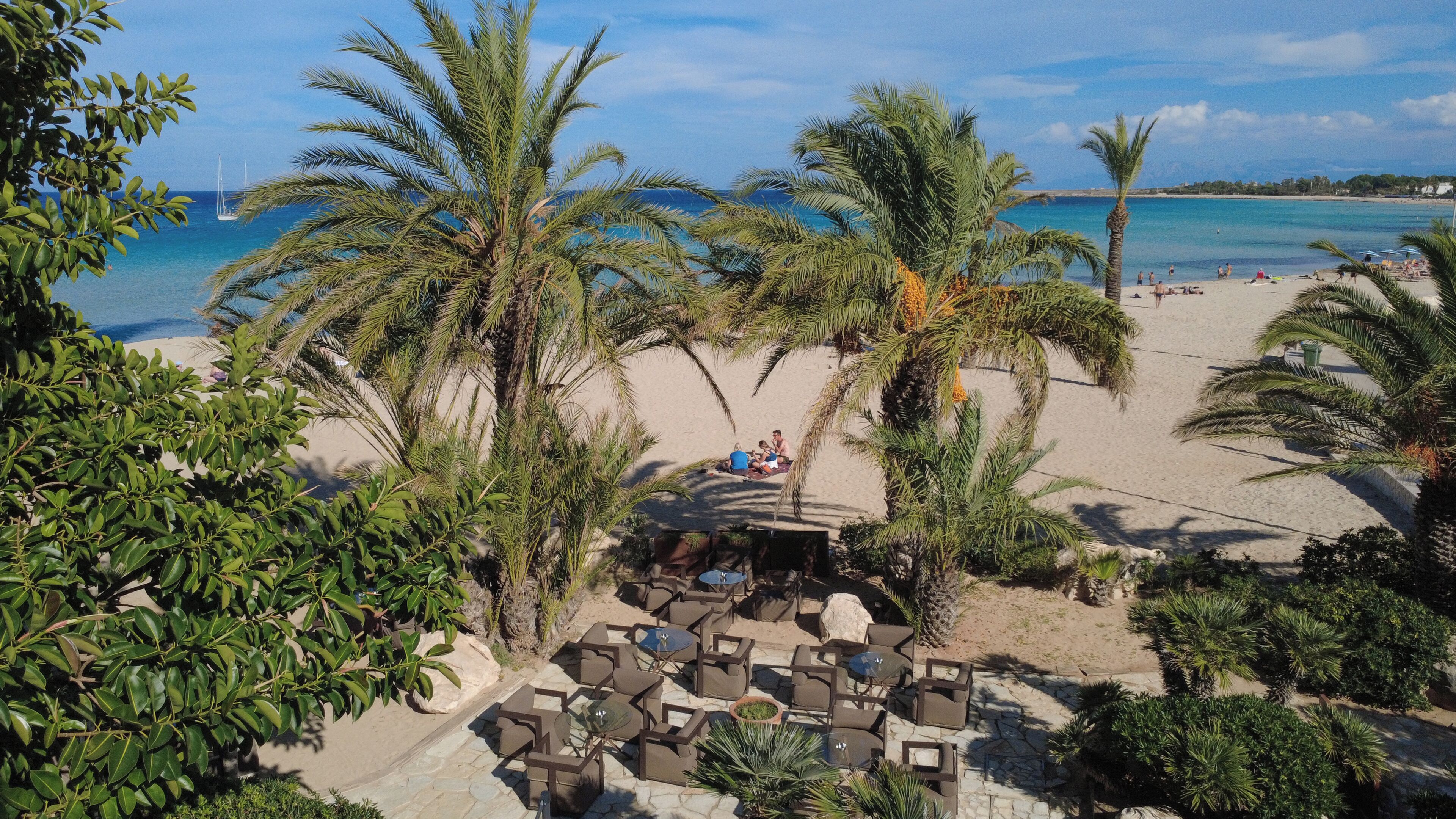 Un complexe hôtelier situé en bord de mer, avec des palmiers, une piscine et une vue sur l’océan.