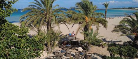 Un complexe hôtelier situé en bord de mer, avec des palmiers, une piscine et une vue sur l’océan.