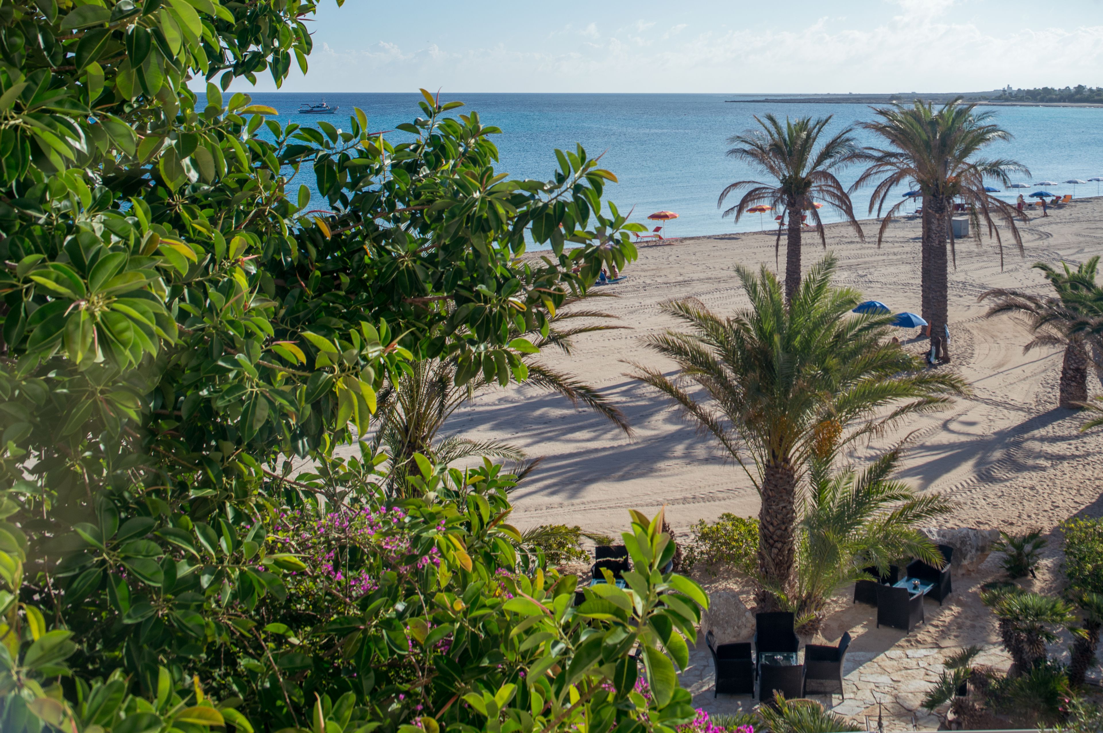 Una playa con palmeras, una orilla arenosa y vista al océano.