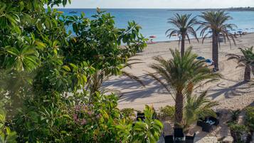 A beach with palm trees, a sandy shore, and a view of the ocean.