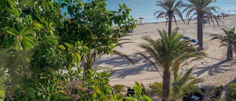 Una playa con palmeras, una orilla arenosa y vista al océano.