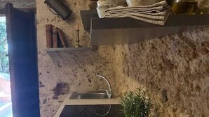 Una cocina rústica con pared de piedra, un colgador para ollas, un fregadero y una planta en maceta.