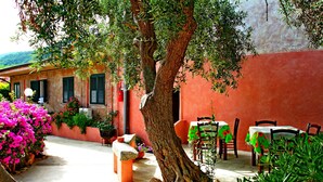 Un patio con una mesa, sillas, un árbol y plantas en macetas.