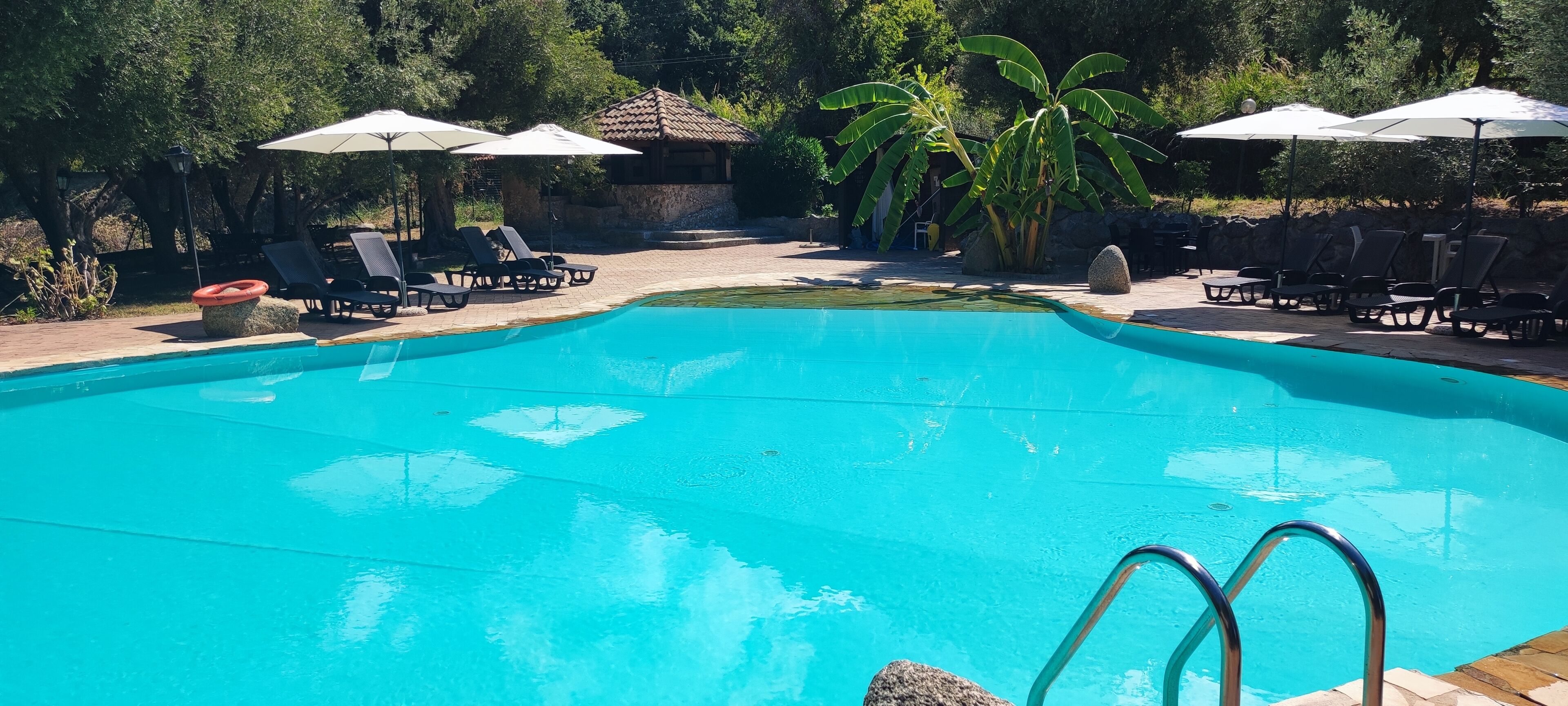 A clear blue swimming pool with lounge chairs and umbrellas, surrounded by trees and a small building.