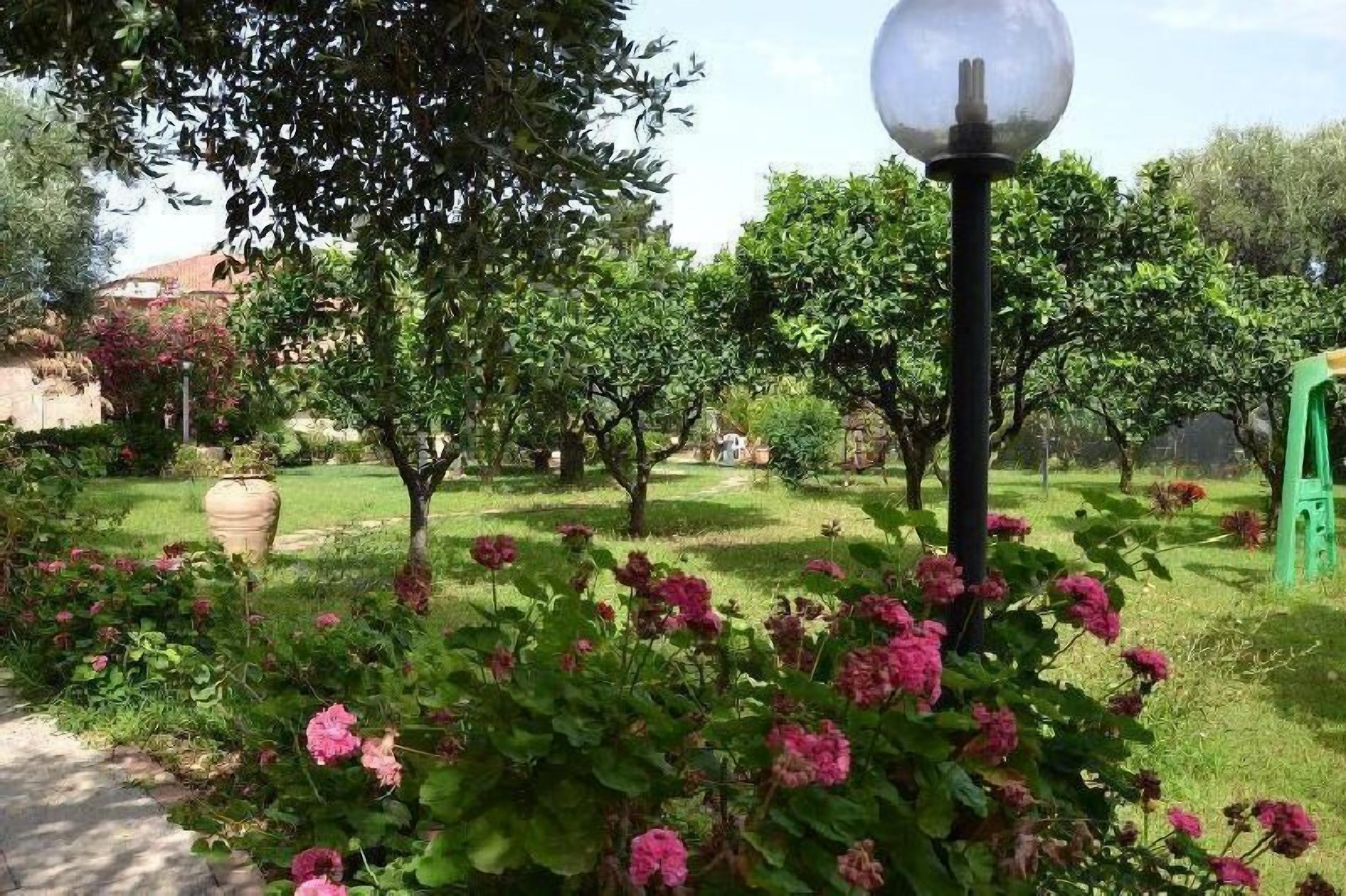 A garden with a pathway, a lamp post, and flowering plants.