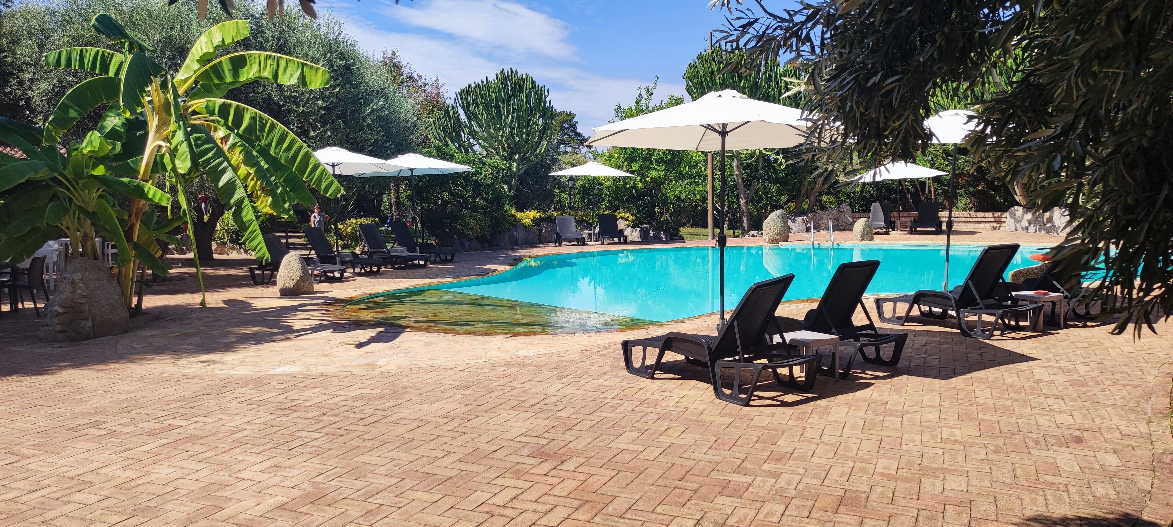 A pool area with lounge chairs and umbrellas, surrounded by tropical plants.