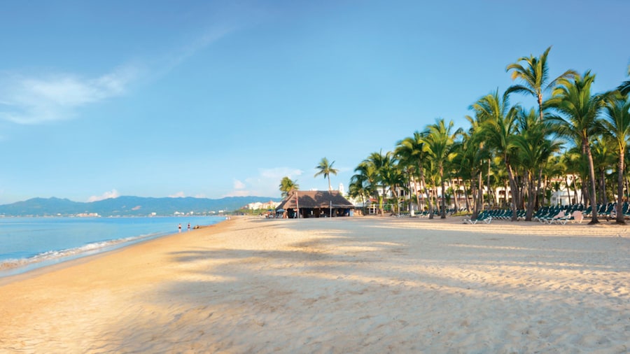 Hotel Riu Jalisco - All Inclusive