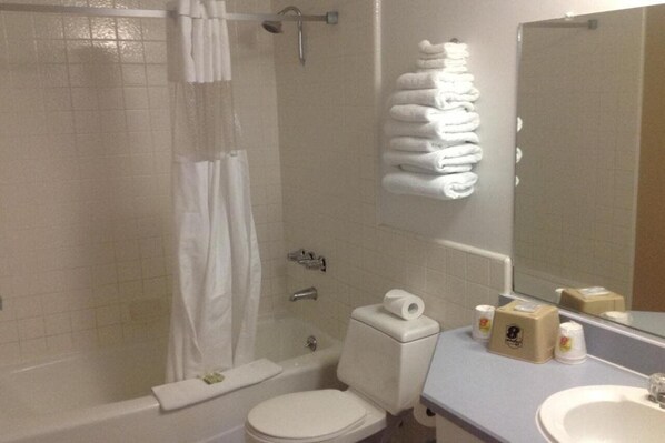Combined shower/bathtub, free toiletries, hair dryer, towels