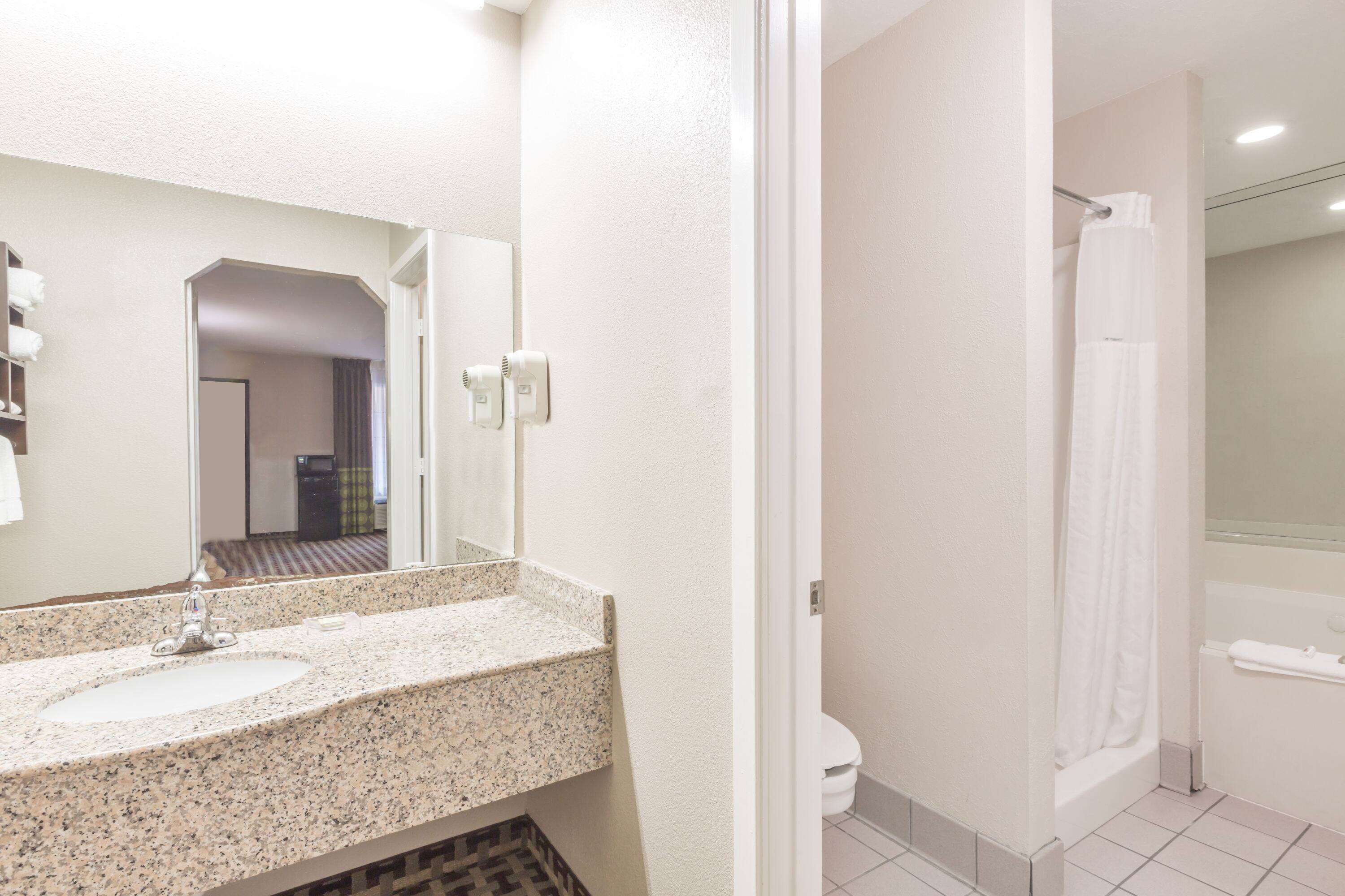 A bathroom with a granite countertop sink, a mirror, a toilet, and a shower area.