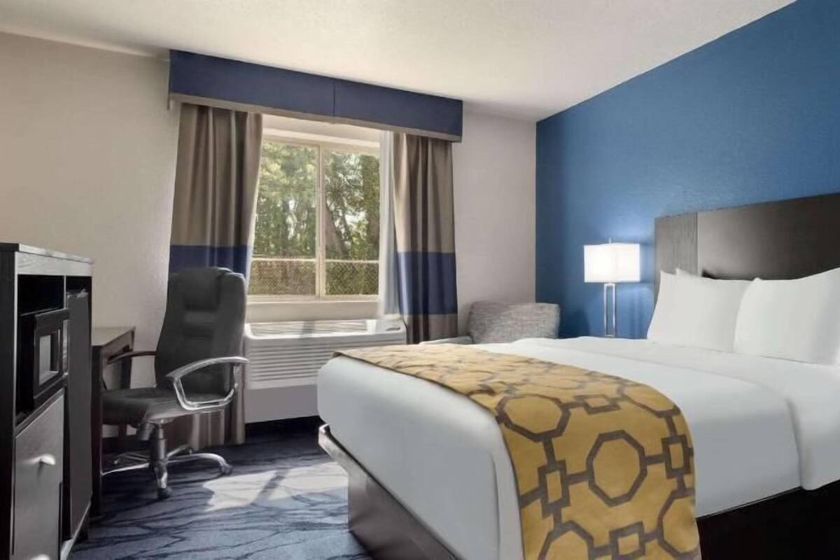 Habitación de hotel con cama, escritorio, silla, ventana con cortinas y una pared de acento azul.
