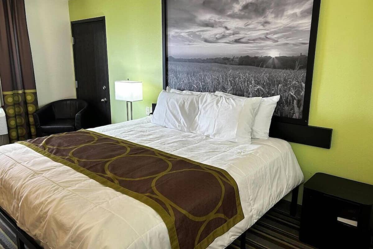 Una habitación de hotel con una cama, una silla, un escritorio, una lámpara y un cuadro grande colgado en la pared.