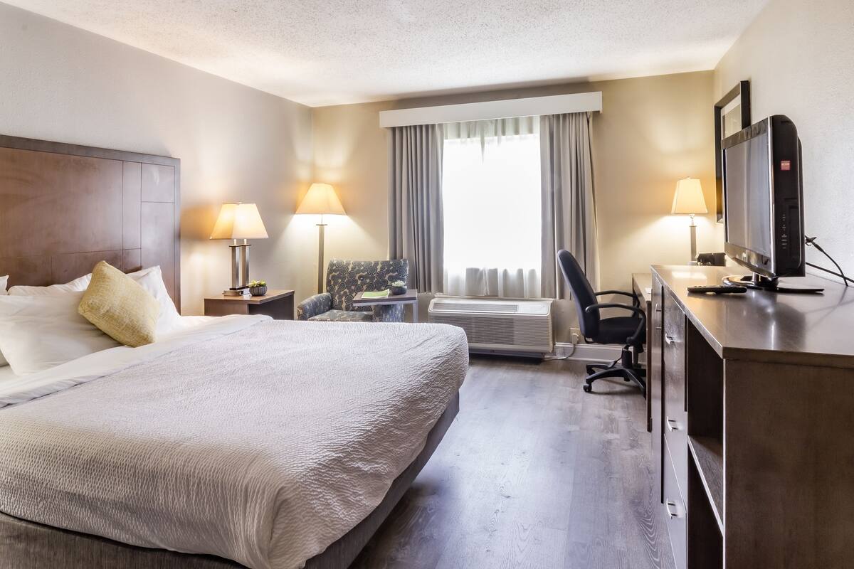 Een hotelkamer met een groot bed, een bureau met een computer, een stoel en een televisie.
