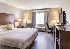 Pillowtop beds, desk, iron/ironing board, free WiFi