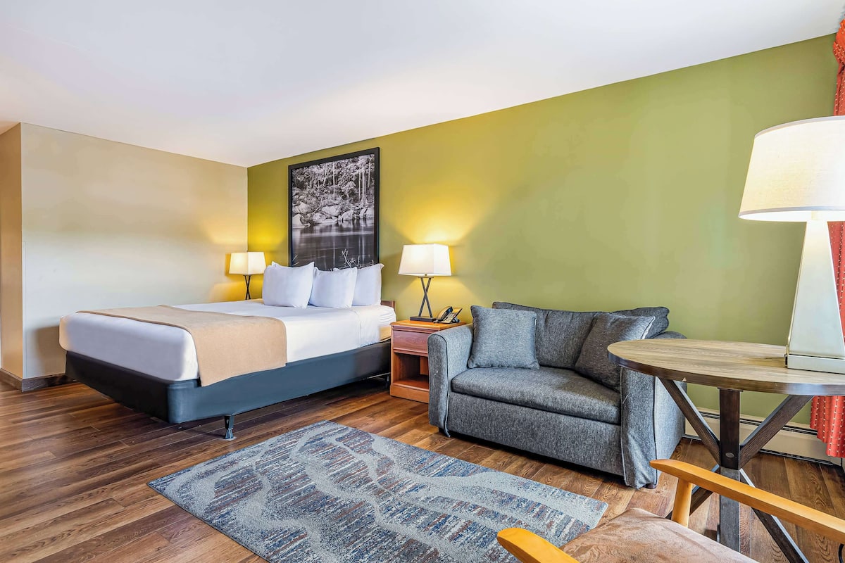 Une chambre d’hôtel avec un lit, un canapé, une petite table et deux lampes de chevet.