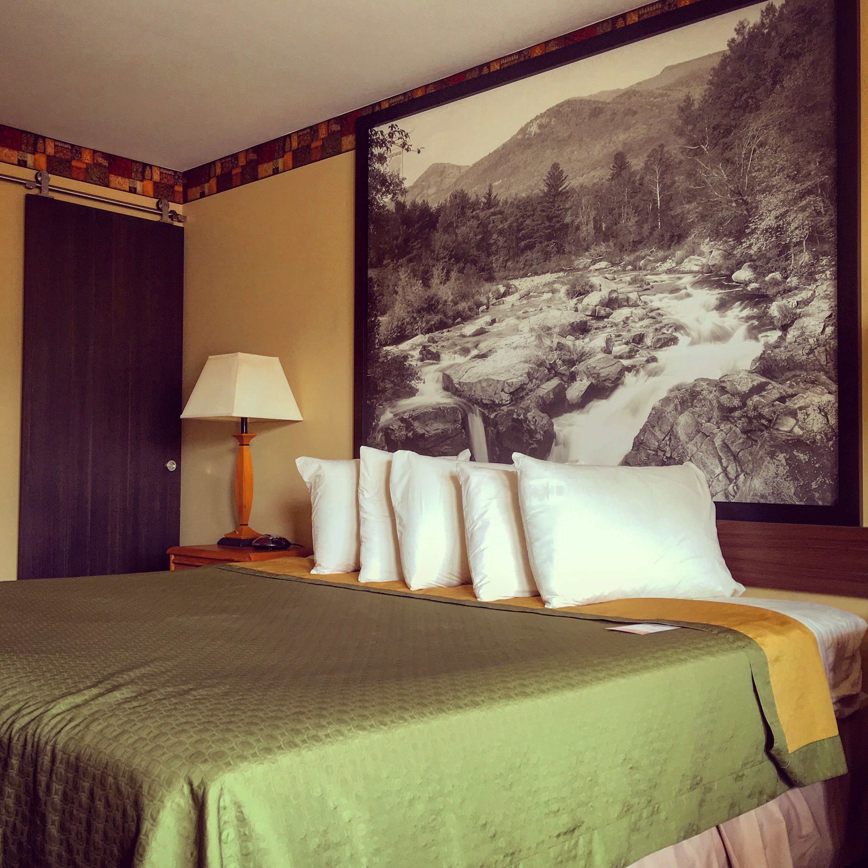 A hotel room with a bed, pillows, a lamp, a painting of a mountain stream, and a door.