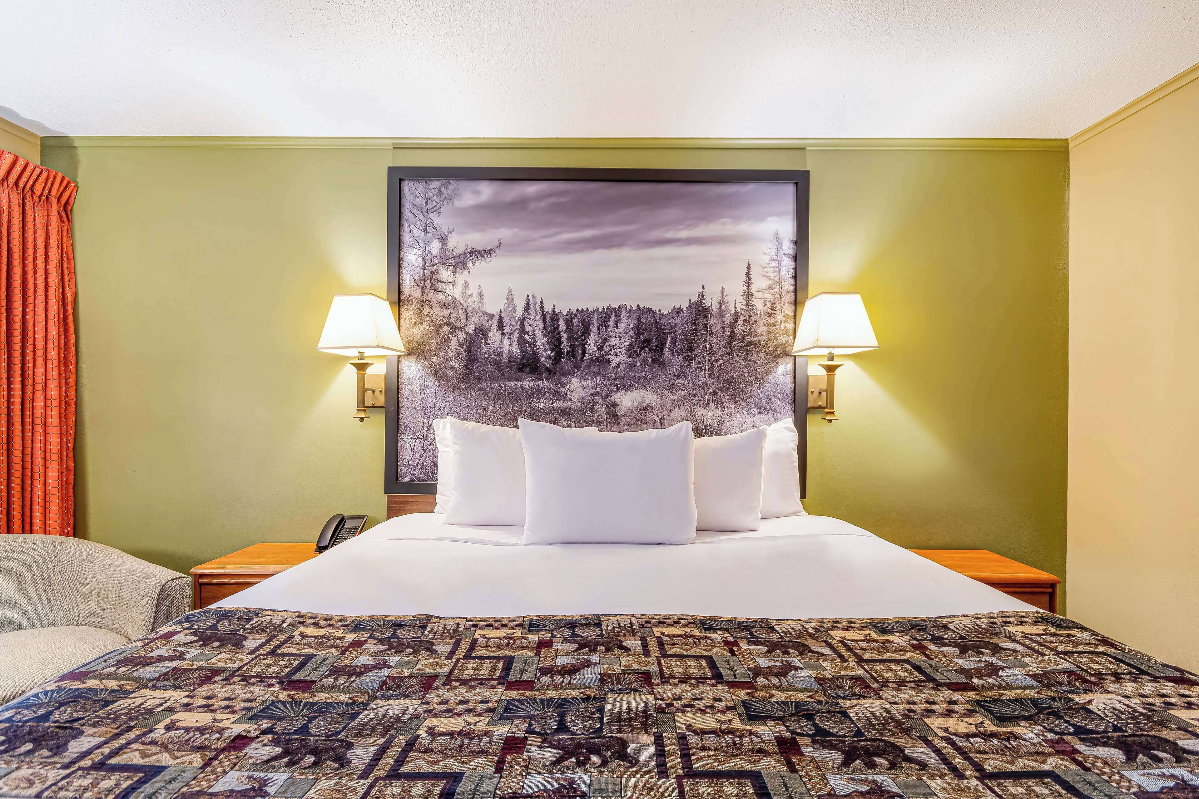 Habitación de hotel con una cama grande, dos lámparas de noche, cabecera con paisaje de bosque y colcha estampada.